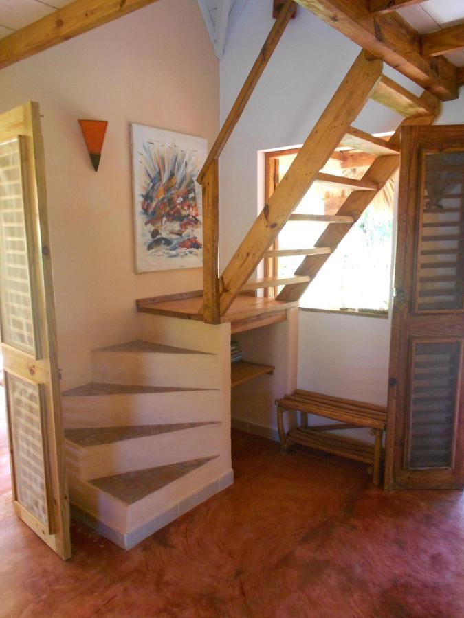 Palm-Covered House In The Tropical -Casa Oli Las Galeras Exterior photo