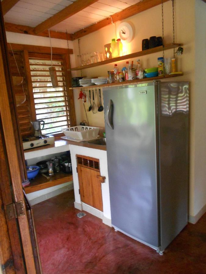Palm-Covered House In The Tropical -Casa Oli Las Galeras Exterior photo