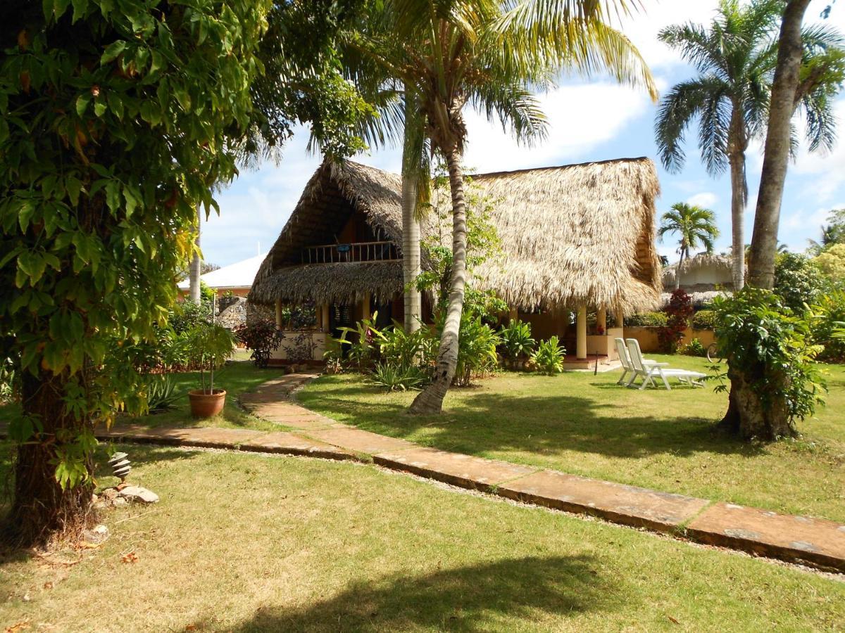 Palm-Covered House In The Tropical -Casa Oli Las Galeras Exterior photo