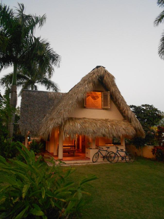 Palm-Covered House In The Tropical -Casa Oli Las Galeras Exterior photo