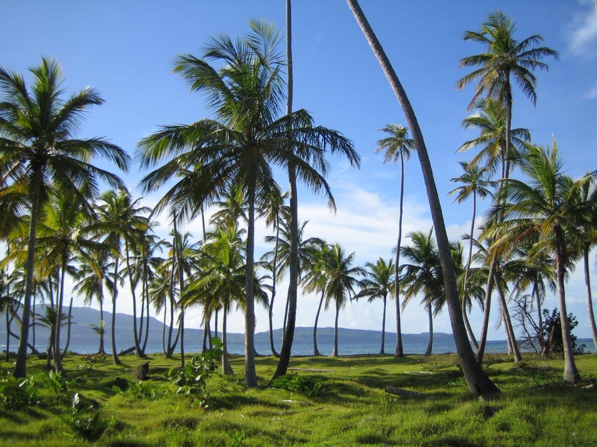 Palm-Covered House In The Tropical -Casa Oli Las Galeras Exterior photo