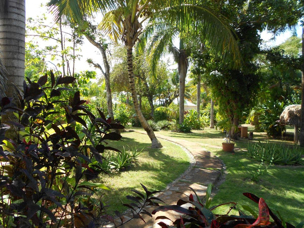 Palm-Covered House In The Tropical -Casa Oli Las Galeras Exterior photo